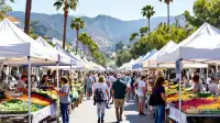 Malibu Farmers Market Returns Home After Parking Spat
