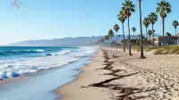 Ocean Way Festival Washed Out of Santa Monica.